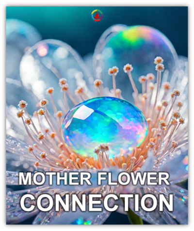 MOTHER FLOWER CONNECTION